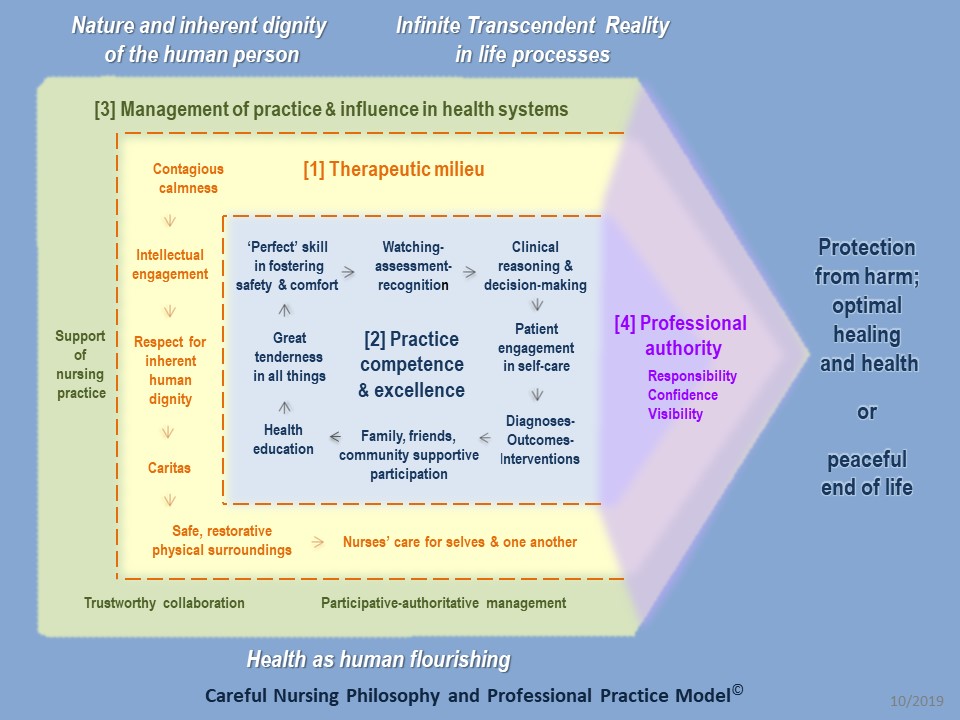 the-therapeutic-milieu-careful-nursing